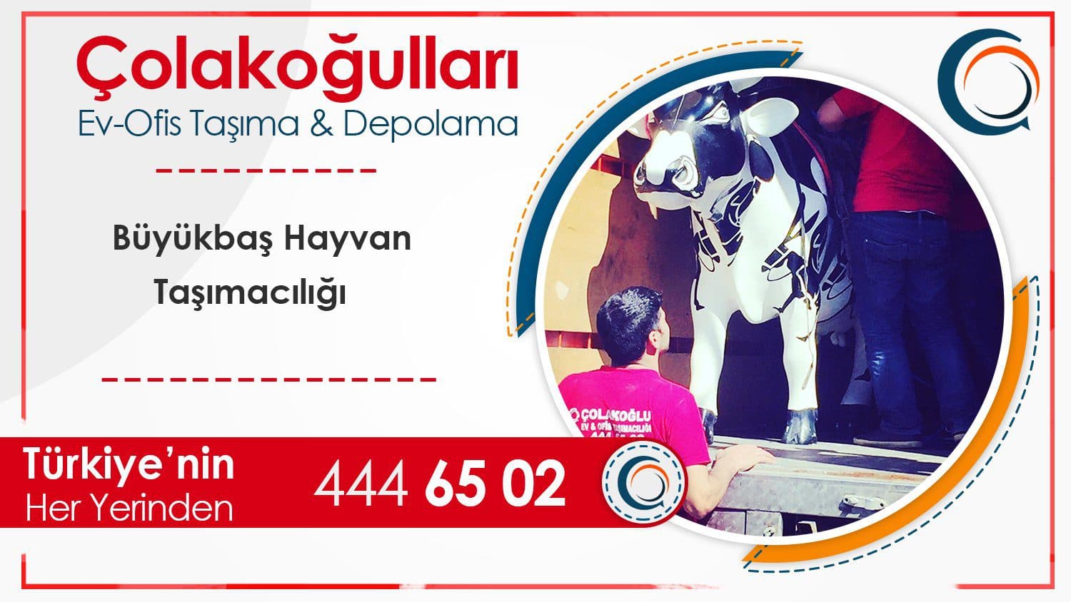 Büyük Baş Hayvan Taşımacılığı