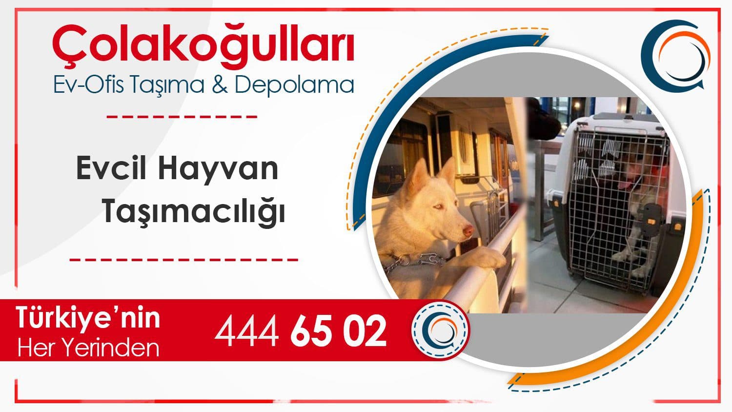 Evcil Hayvan Taşımacılığı