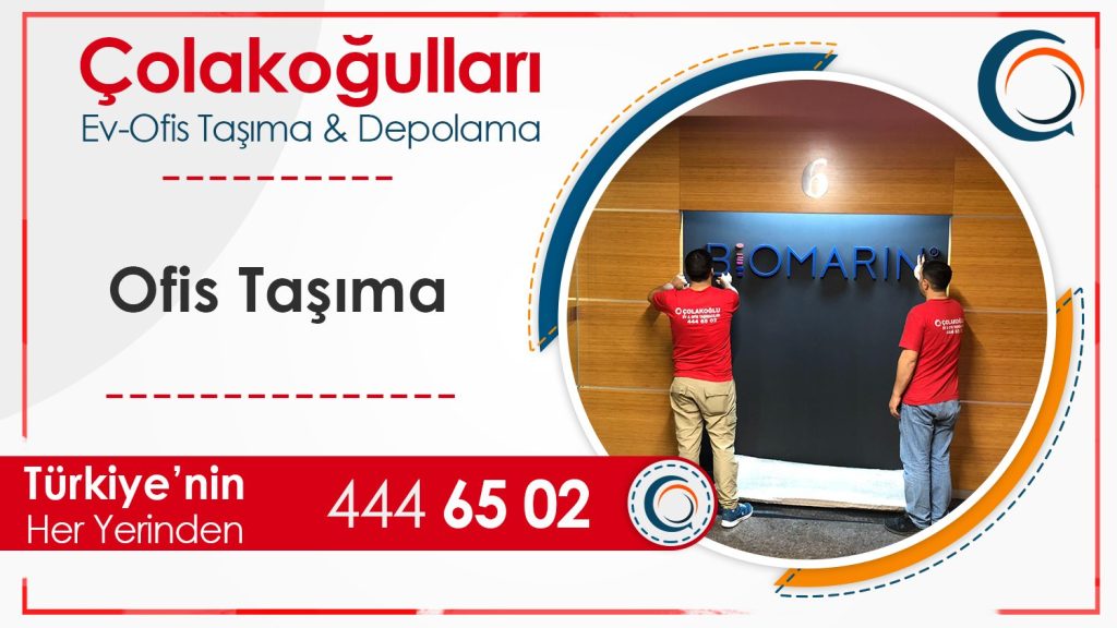 Ofis Taşıma Şirketleri