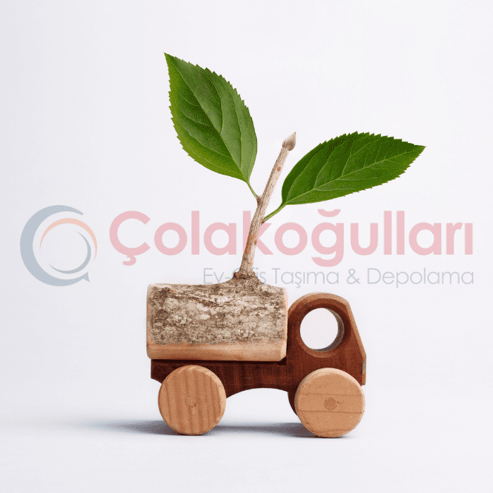 Çiçek Taşımacılığı Nasıl Yapılır?, Kurumsal Çiçek Taşıma Firmaları