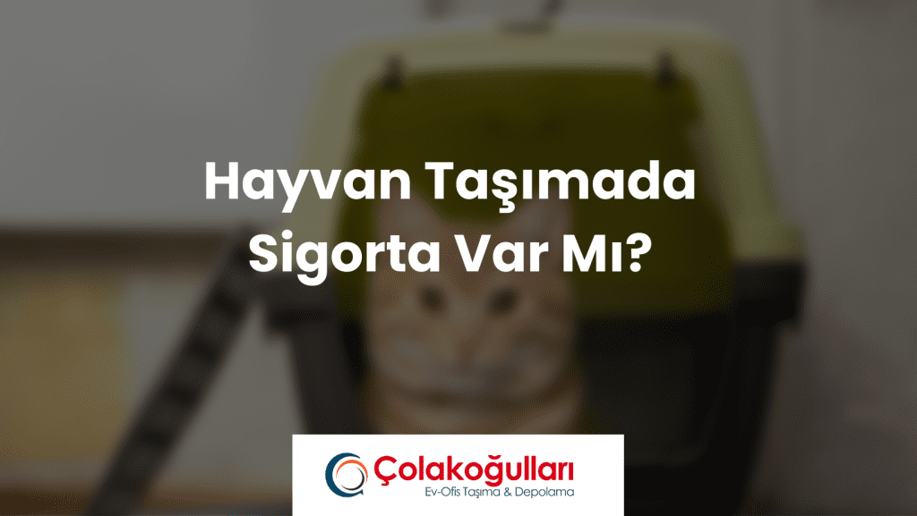 Hayvan Taşımada Sigorta Var Mı?