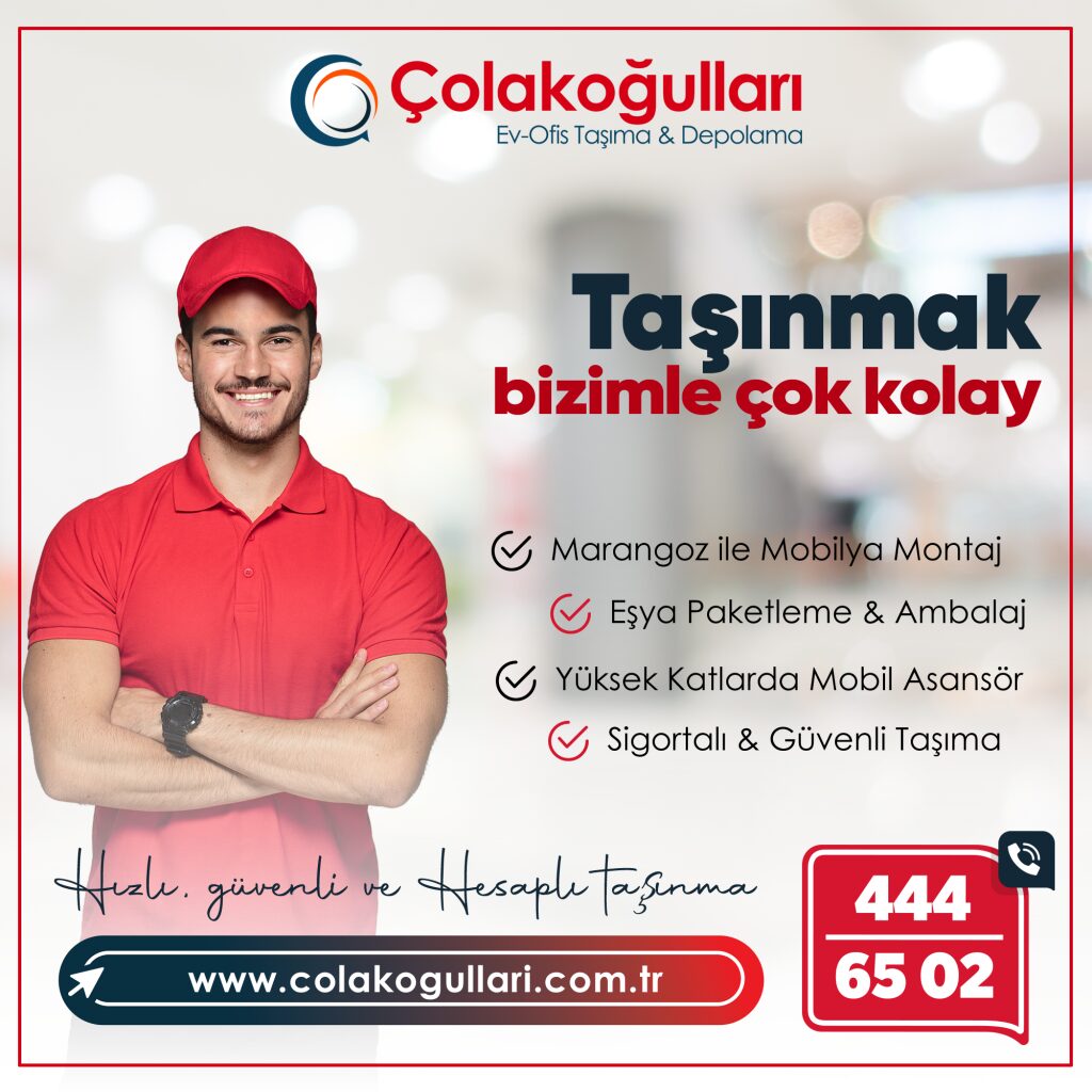 profesyonel ofis taşımacılığı